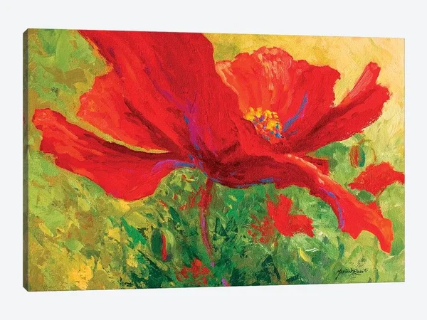Marion Rose Canvas Prints - Red Poppy I ( Floral & Botanical > Flowers > Poppies art)