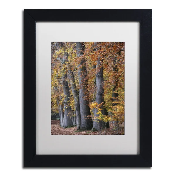 Trademark Art Autumn Beeches II by Cora Niele Framed Photographic Print Size: 20x22 H x 16x22 W x 0.5x22 D - Frame Color: Brown