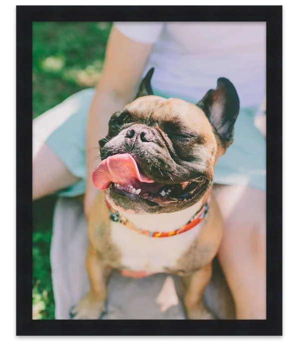 CustomPictureFrames 28x28 Black Wood Picture Frame - with Acrylic Front and Foam Board Backing