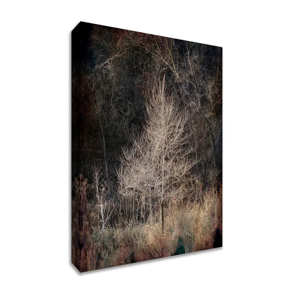 ILLUMINATION - 38x22 x 57x22 Fine Art Giclee Print on Gallery Wrap