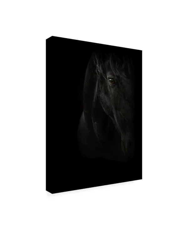 Trademark Fine Art Ic01757-C1824Gg PhotoINC Studio 'Black Pearl' Canva