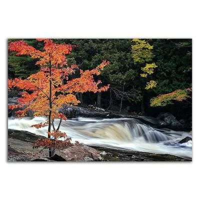 Autumn - Lower Rosseau Falls by David W. Pollard - Photograph Print on Canvas Loon Peak Size: 14x22 H x 21x22 W x 1.5x22 D