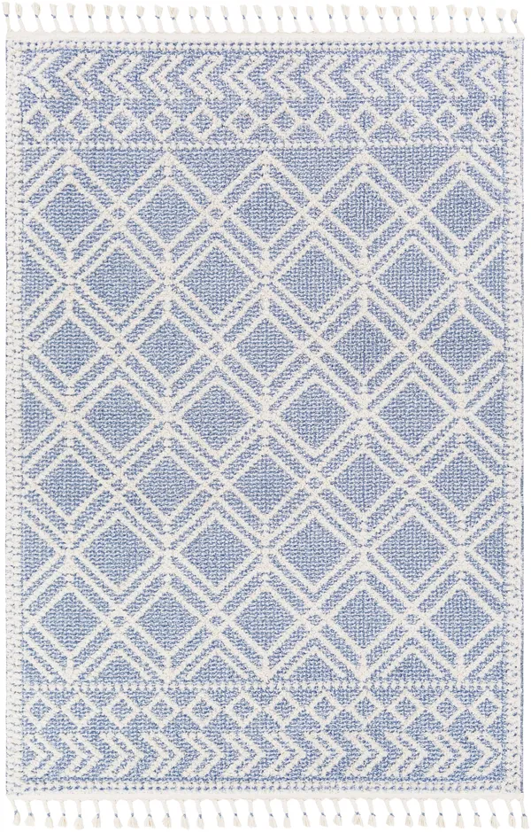 Valencia (Vlc-2314) - 6& 7x22 x 9& Rug