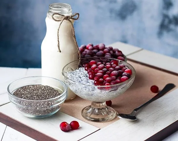 Organic Black Chia Seeds - 10 Pounds - by Food to Live