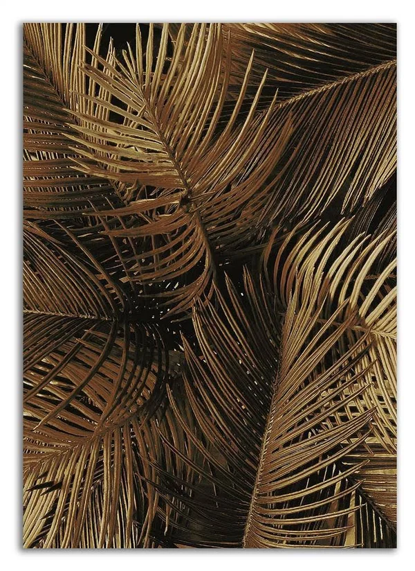 Tangletown Fine Art 35x22 x 25x22 Golden Palm 2 by Design Fabrikken Print on Canvas