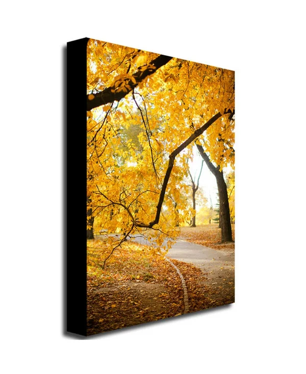 Trademark Fine Art Ariane Moshayedi 'Walk Through The Park' Canvas Art 16x24 Inches