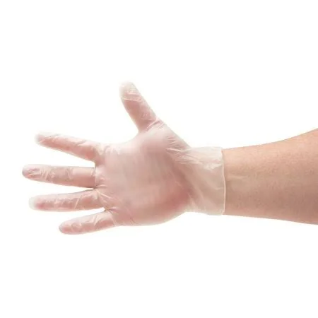 Disposable Food Service Gloves, Vinal Cooking Gloves, Clear, Size X-Large, 2.0 Mil Thick, 2000 Pack, Size: XL