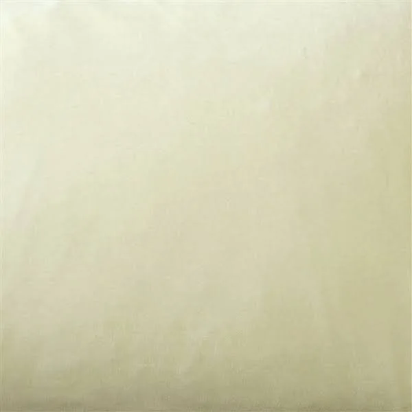 Pillow Decor - Corona Ivory Velvet Pillow 19x19