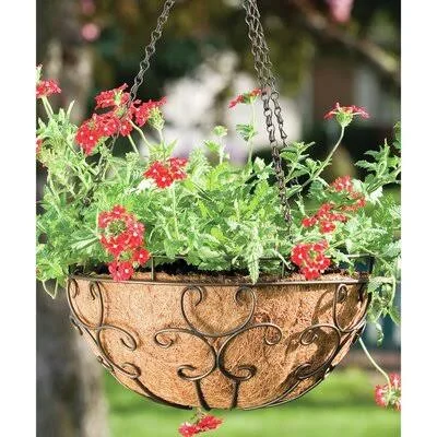 Jasmine Series Metal Hanging Planter Winston Porter