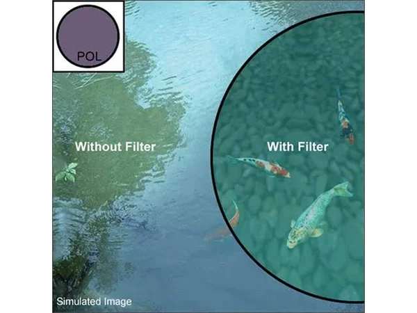 B+W Circular Polarizer - Filter - circular polarizer - 58 mm