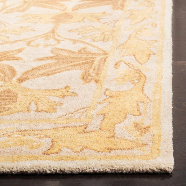 Safavieh Anatolia AN541B Area Rug - Ivory/Gold - Size: 6 x 9 ft.