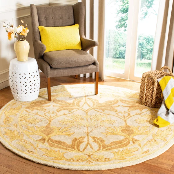 Safavieh Anatolia AN541B Area Rug - Ivory/Gold - Size: 6 x 9 ft.
