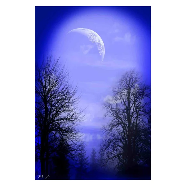 Louis Leonard Art Mystic Night by Mark Ashkenazi, Canvas Giclee Wall Art, 20 x 30