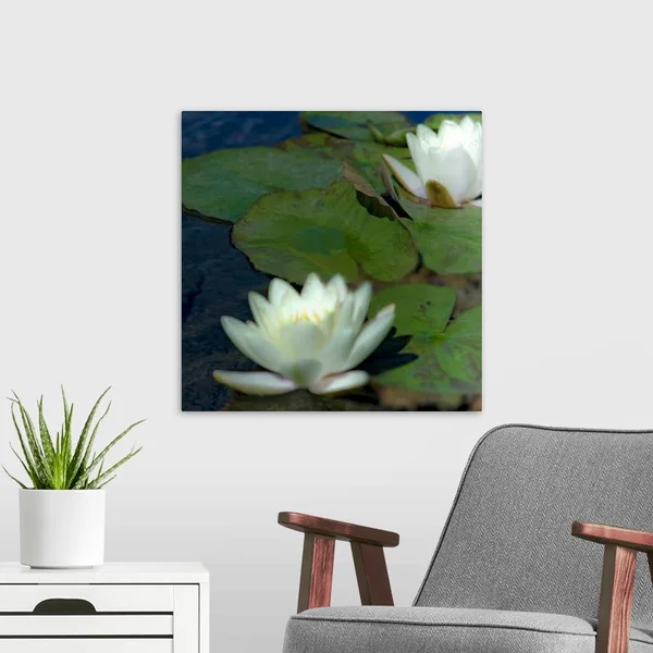 Water Lilies I, Canvas Wall Art, 20x20, Great Big Canvas