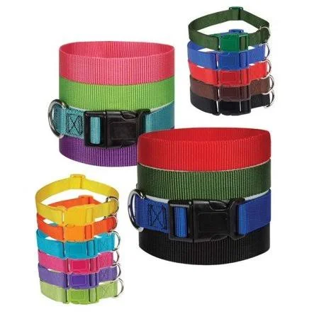 Dog Collar Bulk Packs Nylon Litter Band Puppy Rescue Shelter Pick Size & Amount (Medium - 14 to 20 inch - 8 Collars)