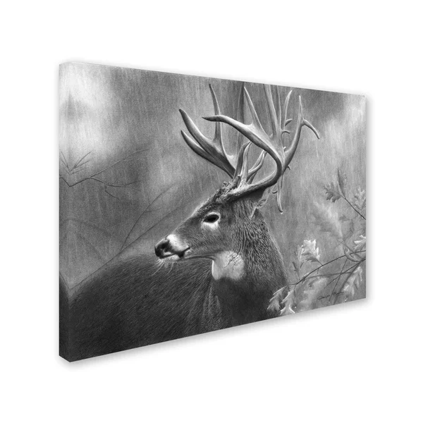 Trademark Art Chuck Black 'Rainy Days' Gallery-Wrapped Canvas Art