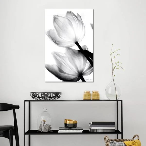 Debra Van Swearingen Canvas Prints - Translucent Tulips II ( Floral & Botanical > Flowers > Tulips art)