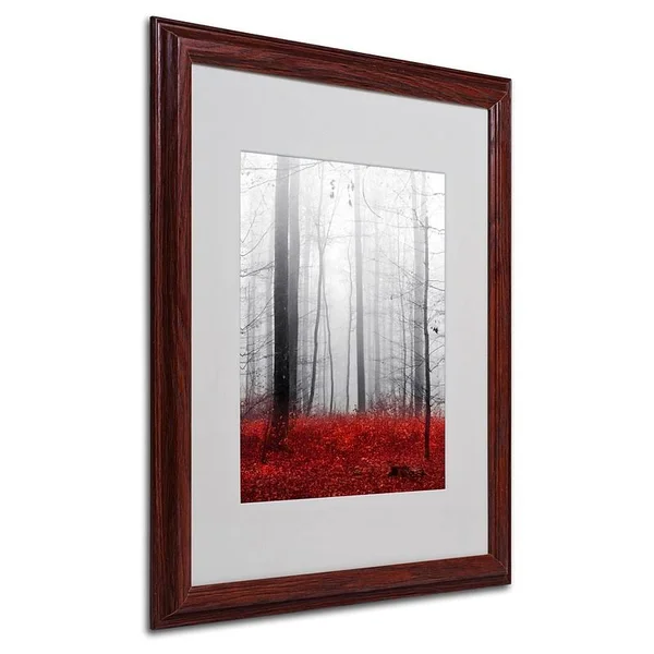 Trademark Fine Art Little Red Carpet Artwork with Wood Frame by Philippe Sainte Laudy - 16 by 20-inch