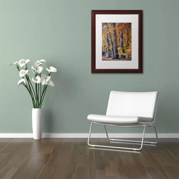 Trademark Art Autumn Beeches II by Cora Niele Framed Photographic Print Size: 20x22 H x 16x22 W x 0.5x22 D - Frame Color: Brown