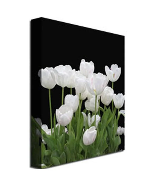 Trademark Global Kathie McCurdy &White Tulips& Canvas Art