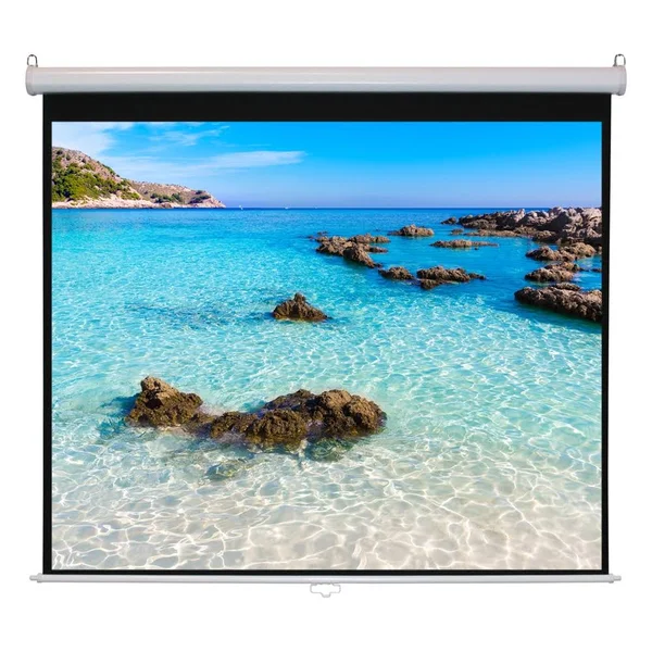 70x70 Wall Mount Projector Screen WS-W70