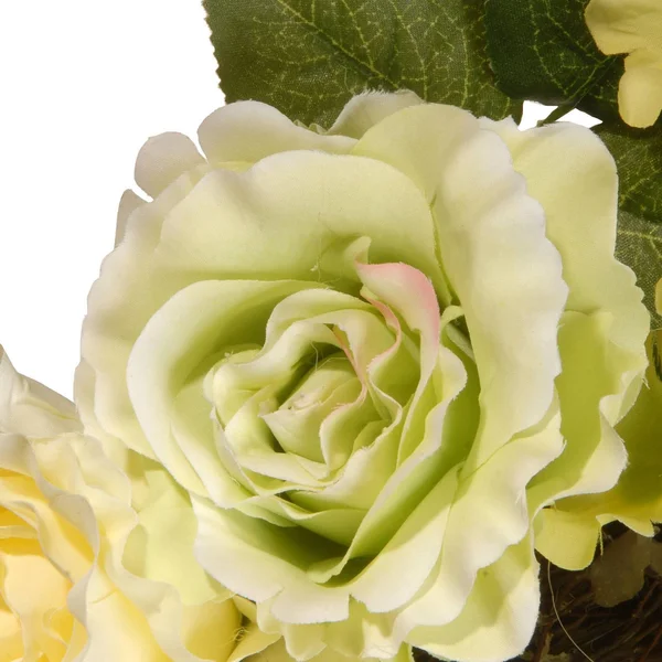 National Tree RAS-15546W24G 24x22 Green & Cream Rose Wreath
