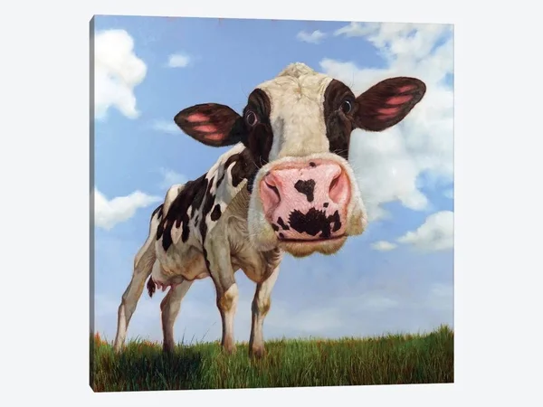 Penelope - Lucia Heffernan Canvas Art Print ( Animal Art > Farm Animals > Cows art)