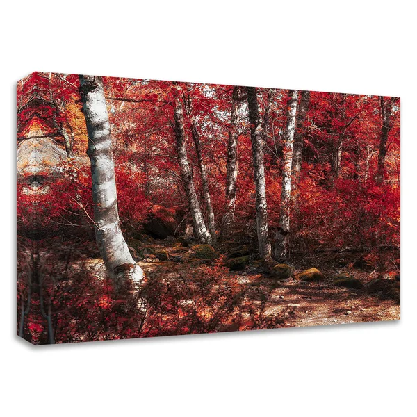 14x22 x 18x22 Red Trees Path by Vladimir Kostka Print on Canvas