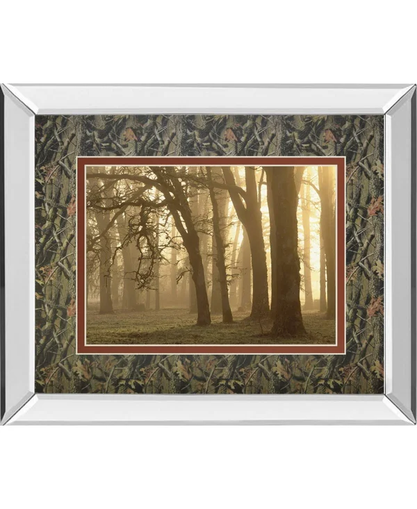 Classy Art DM5674MF 34 x 40 in. Woodland Sweep by Dennis Frate Mirror Framed Print Wall Art