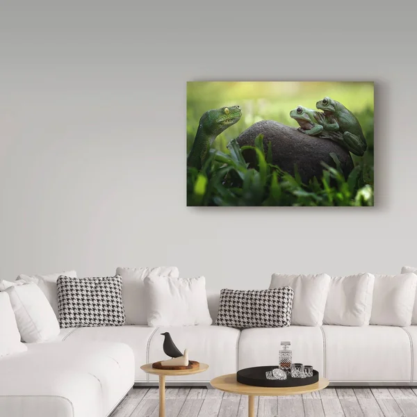 Trademark Fine Art Fahmi BHS 'Frogs Curiosity' Canvas Art - Multi-Color - Size: 16 x 24