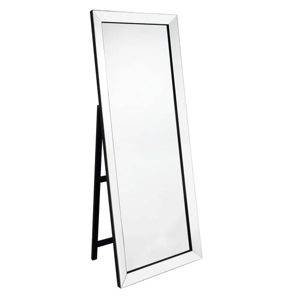 Inspired Home Coral 63-in L x 23.5-in W Silver Polished Floor Mirror - JF147-09NC-LS