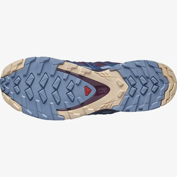 Salomon XA Pro 3D V8 6