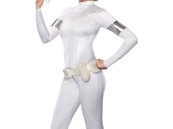 Adult Amidala Costume - Small