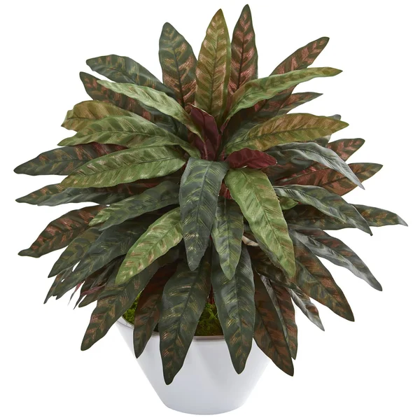 Nearly Natural Peacock Artificial Plant in White Bowl