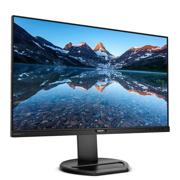 Philips LCD Monitor with PowerSensor 252B9/00