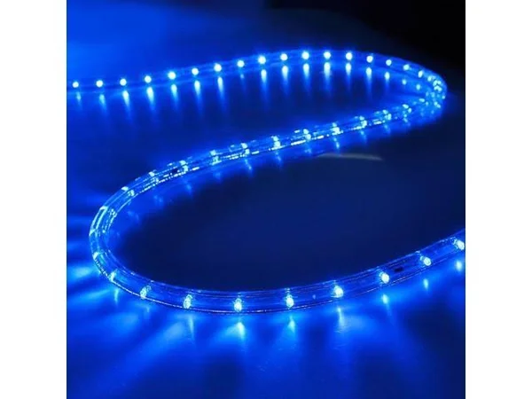 Delight 150 ft. 2 Wire LED Rope Light Holiday Valentine Party Decorative Lighting Blue